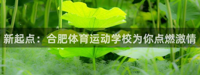 千亿国际官方正版app科技:新起点:合肥体育运动学校为你点燃