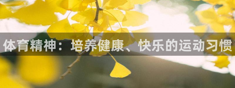 千亿国际官网下载平台是正规平台吗:体育精神:培养健康、快乐的